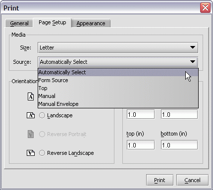 Servoy Client print preview print dialog page setup source